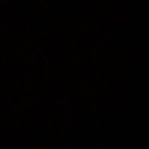 Meet your Posher, Jake